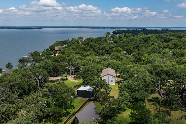 1327 Whispering Springs Dr, Tool, TX 75143 - bird's eye view of a large body of water and a forest