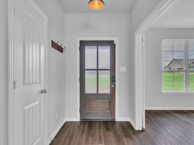 1013 Northern Oaks Ct, Springtown, TX 76082 - entryway featuring dark wood-style floors and baseboards