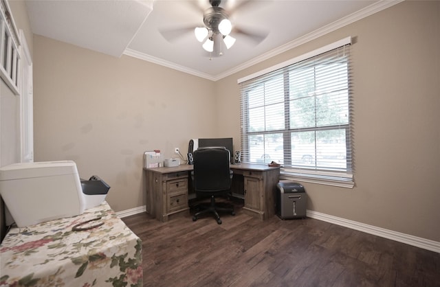 606 Brandt St, Grandview, TX 76050 - office with ceiling fan, dark wood-style floors, baseboards, and ornamental molding