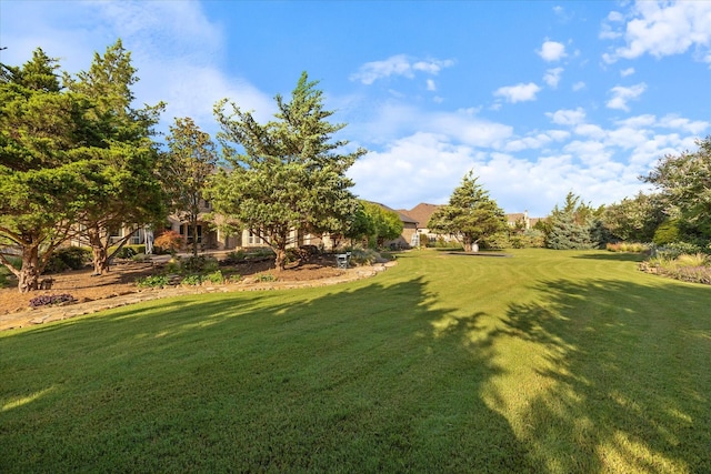 1229 Manchester Dr, Mclendon Chisholm, TX 75032 - view of green lawn