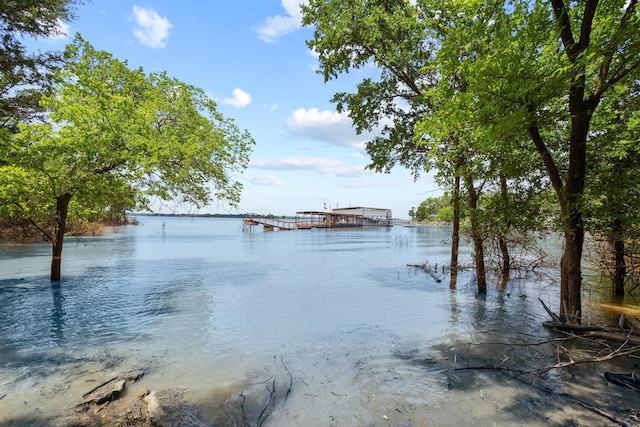 791 Cedar Oak Dr, Pottsboro, TX 75076 - water view