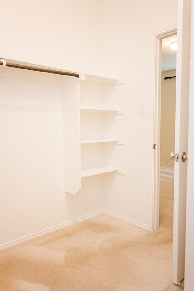 2225 Bernese Ln, Fort Worth, TX 76131 - walk in closet featuring light carpet