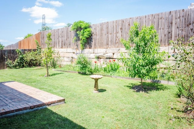 2225 Bernese Ln, Fort Worth, TX 76131 - view of yard with a patio