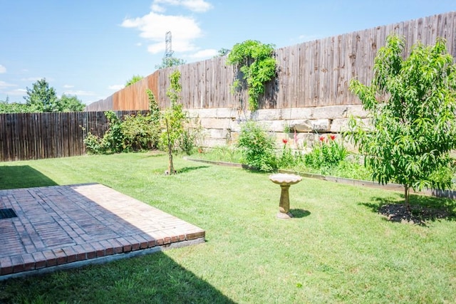 2225 Bernese Ln, Fort Worth, TX 76131 - view of yard with a patio area