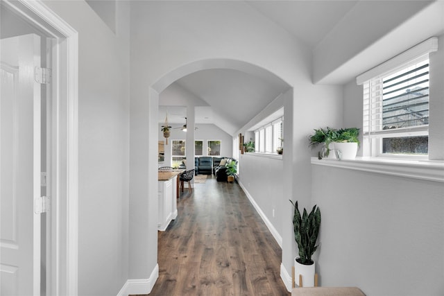 1621 Whispering Trail Dr, Waxahachie, TX 75165 - hall with lofted ceiling, dark wood finished floors, arched walkways, and baseboards