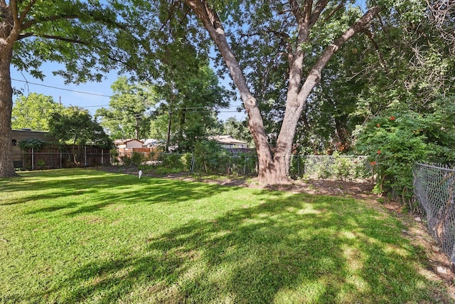 10626 Desdemona Dr, Dallas, TX 75228 - view of yard