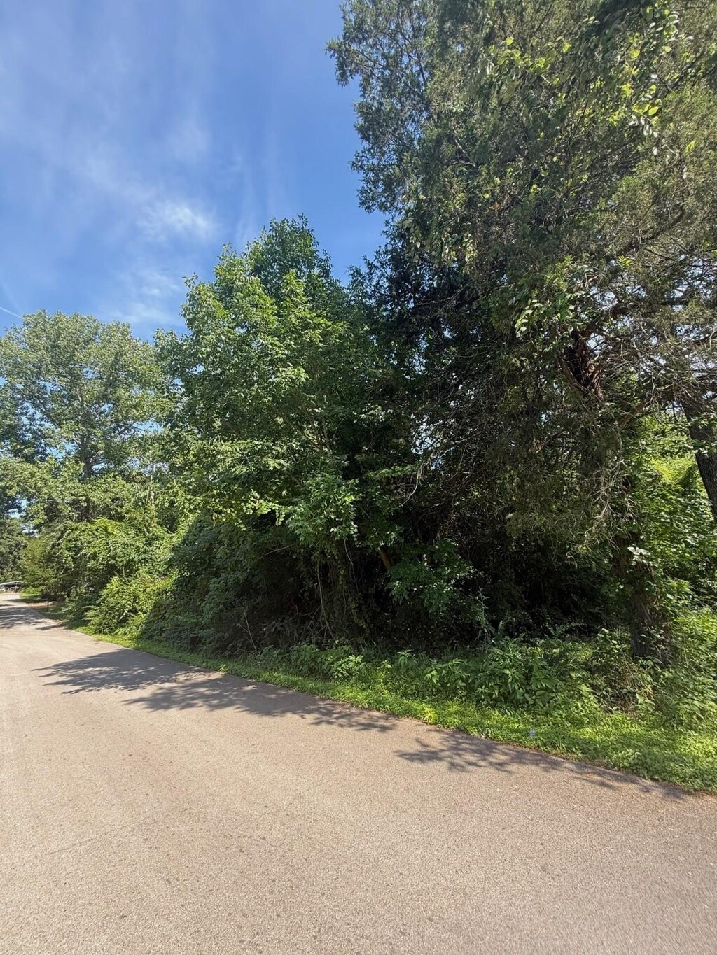 131 Ridgewood Dr, Tool, TX 75143