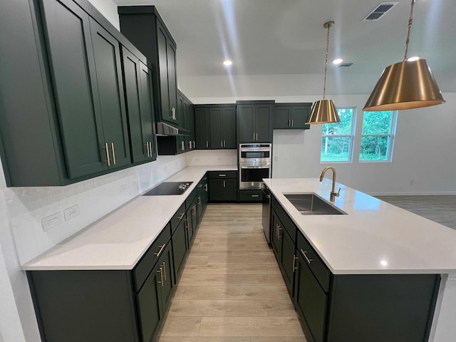 2121 Williams, Princeton, TX 75407 - kitchen featuring a sink, stainless steel double oven, light wood-style flooring, under cabinet range hood, and tasteful backsplash