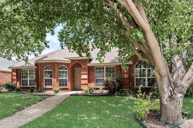 1707 Balboa Ln, Allen, TX 75002 - traditional home featuring brick siding, a shingled roof, and a front yard
