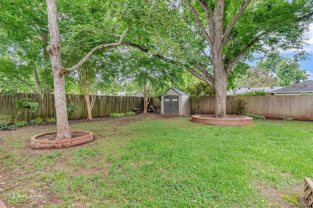 361 Carrollton Ave, Shreveport, LA 71105 - view of yard