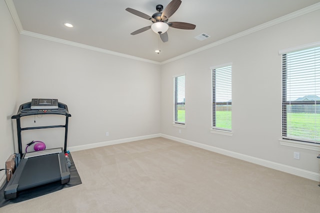8220 Stonewall Dr, Waxahachie, TX 75167 - workout area featuring light colored carpet, baseboards, crown molding, ceiling fan, and plenty of natural light