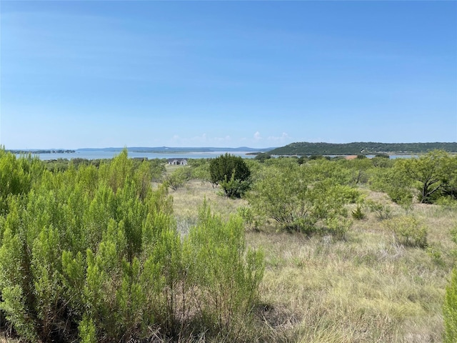 LOT1057 Cinnamon Teal Dr, Graford, TX 76449
