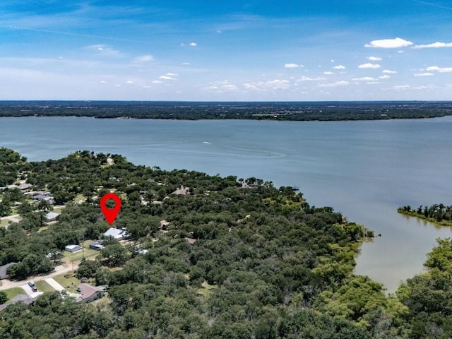 307 Sagebrush Dr, Oak Point, TX 75068 - drone / aerial view of a large body of water and a heavily wooded area