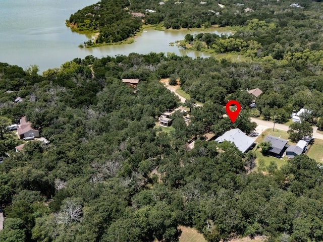 307 Sagebrush Dr, Oak Point, TX 75068 - aerial view of property's location with a nearby body of water and a forest