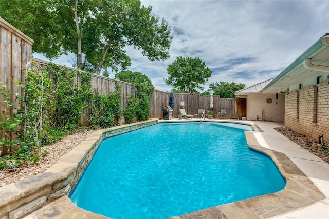 206 Crooked Creek Dr, Richardson, TX 75080 - view of swimming pool with a fenced backyard