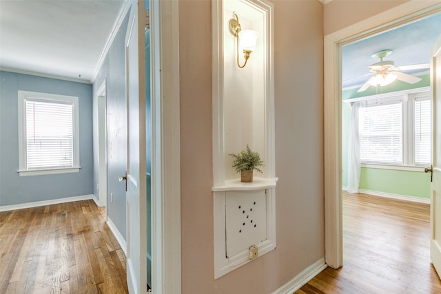 202 N St, Grand Prairie, TX 75050 - hallway featuring light wood-style flooring and ornamental molding