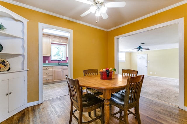 202 N St, Grand Prairie, TX 75050 - dining area with ceiling fan, healthy amount of natural light, crown molding, and light wood-type flooring