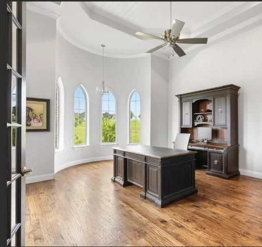 212 Nueces Trl, Aledo, TX 76008 - unfurnished office with a high ceiling, a ceiling fan, wood finished floors, crown molding, and a chandelier