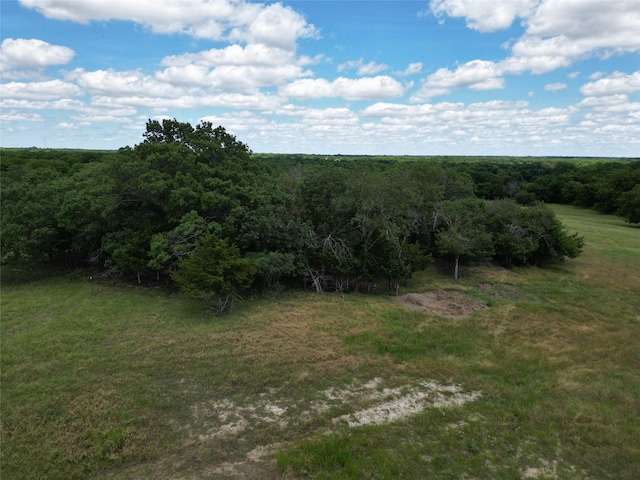 TBD Ball Rd, Whitewright, TX 75491
