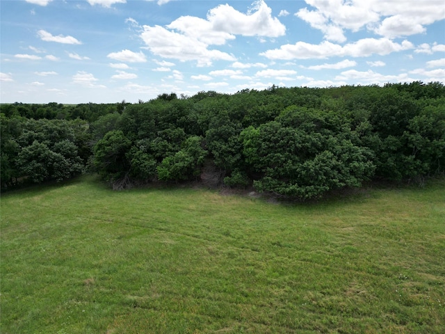 TBD Ball Rd, Whitewright, TX 75491