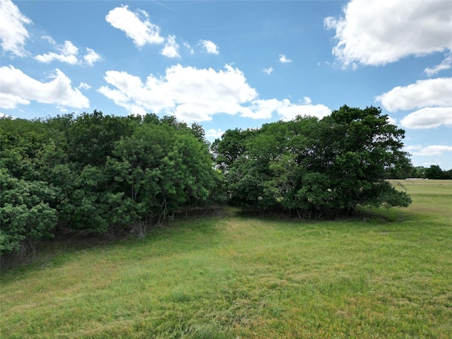 TBD Ball Rd, Whitewright, TX 75491
