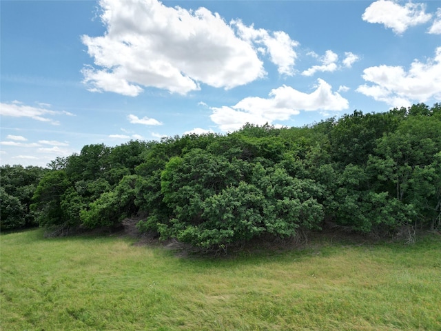 TBD Ball Rd, Whitewright, TX 75491
