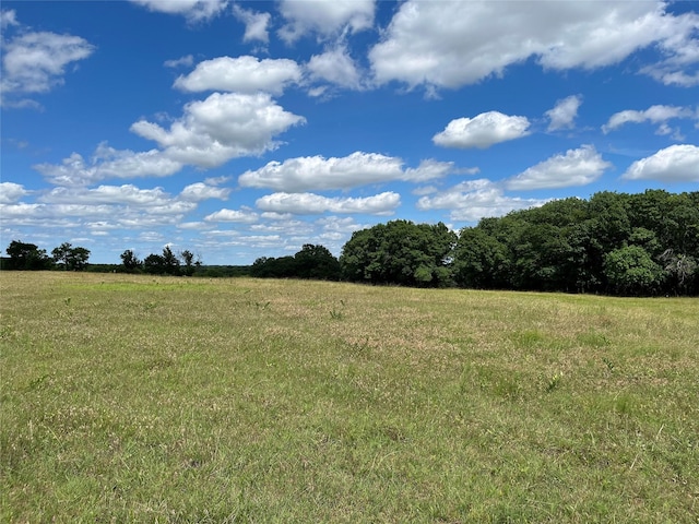 TBD Ball Rd, Whitewright, TX 75491