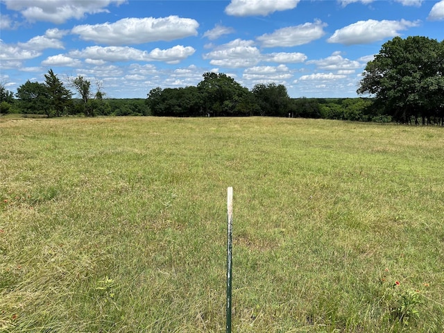 TBD Ball Rd, Whitewright, TX 75491