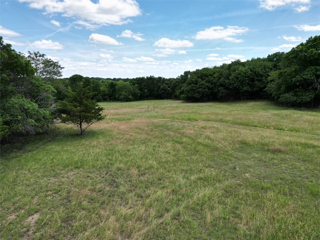 TBD Ball Rd, Whitewright, TX 75491