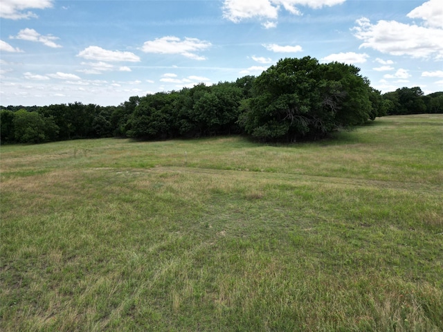 TBD Ball Rd, Whitewright, TX 75491