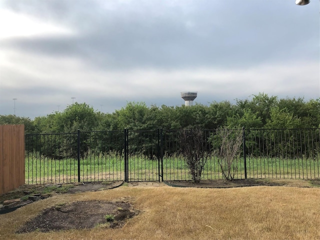 16324 Toledo Bend Ct, Prosper, TX 75078 - view of yard