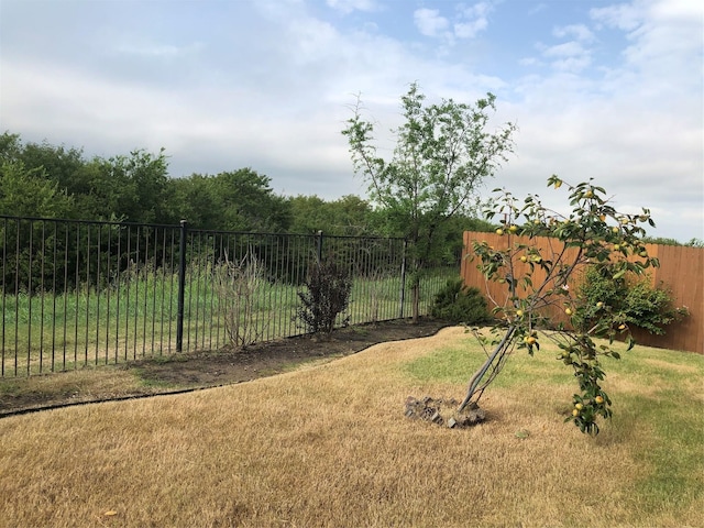 16324 Toledo Bend Ct, Prosper, TX 75078 - view of yard