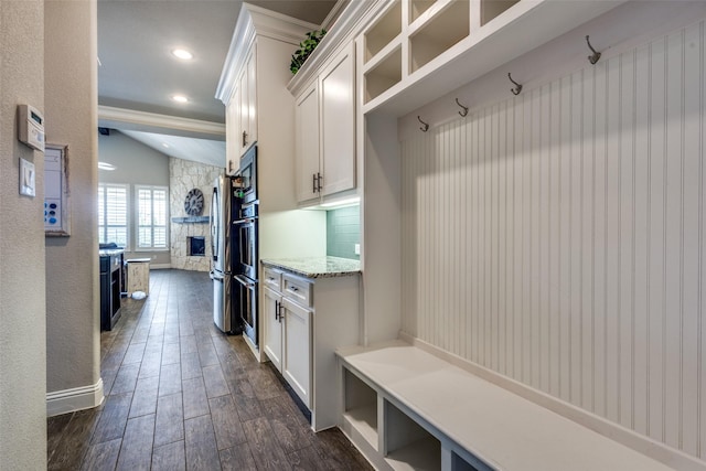 3900 Silent Water St, Mckinney, TX 75071 - mudroom with dark wood-type flooring, a fireplace, ornamental molding, and recessed lighting