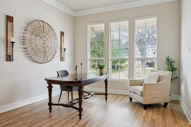 5809 Sterling Trl, Mckinney, TX 75071 - fenced backyard with a playground