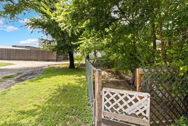 408 W Trinity St, Groesbeck, TX 76642 - view of yard