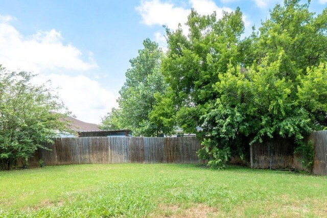 6104 Brookfall Dr, Arlington, TX 76018 - view of yard