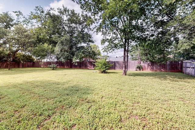 204 Cacti Dr, Lakeside, TX 76108 - view of yard
