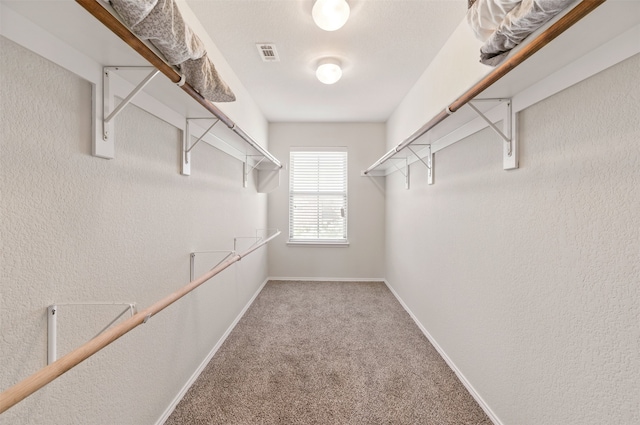 2901 Coyote Canyon Trl, Fort Worth, TX 76108 - walk in closet with carpet floors