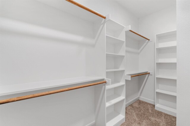5627 Barkridge Dr, Granbury, TX 76048 - spacious closet with carpet flooring
