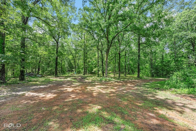 4382 Circle Square Dr, Mooringsport, LA 71060 - view of tree filled area