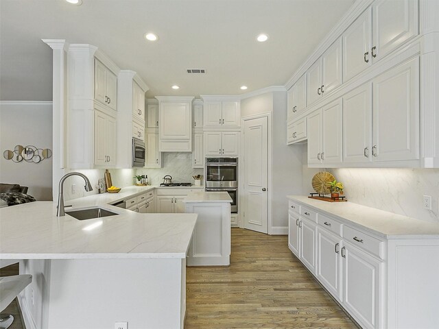 4033 Oakhaven Dr, Plano, TX 75093 - kitchen featuring a sink, a peninsula, appliances with stainless steel finishes, recessed lighting, and light wood-type flooring