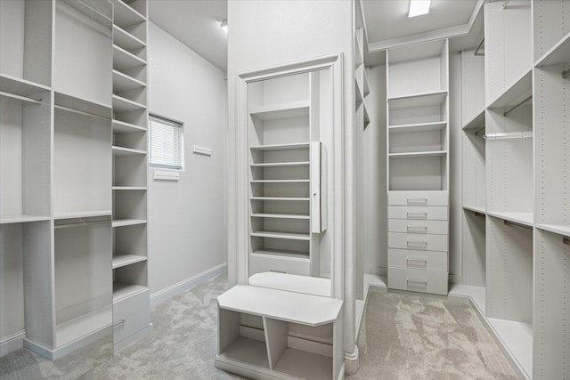1209 Catalina Bay Blvd, Granbury, TX 76048 - walk in closet featuring carpet floors