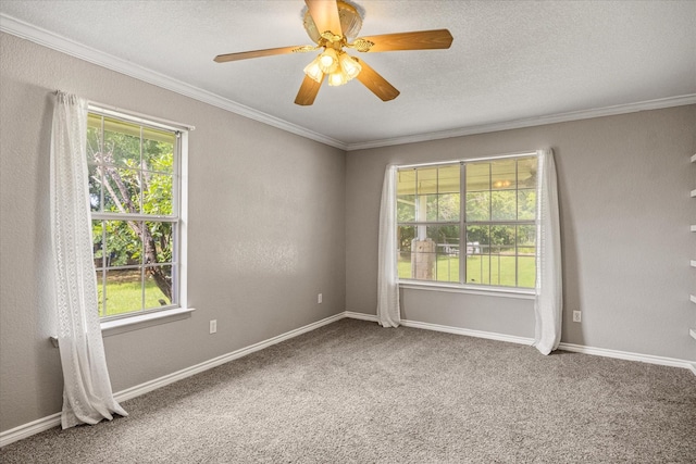 2809 Rock Church Hwy, Tolar, TX 76476 - carpeted spare room featuring plenty of natural light, crown molding, a ceiling fan, baseboards, and a textured ceiling