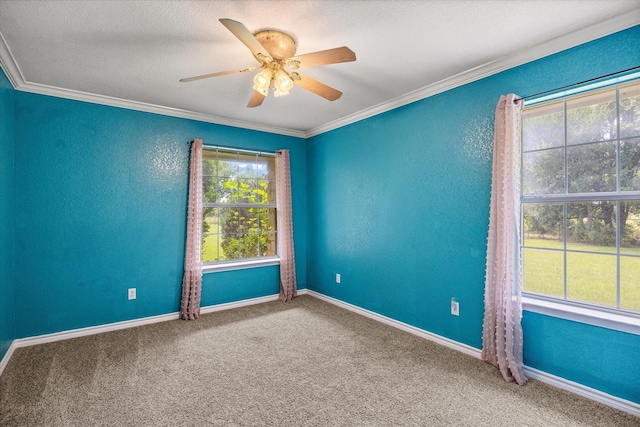 2809 Rock Church Hwy, Tolar, TX 76476 - carpeted spare room with crown molding, a ceiling fan, baseboards, and a textured wall