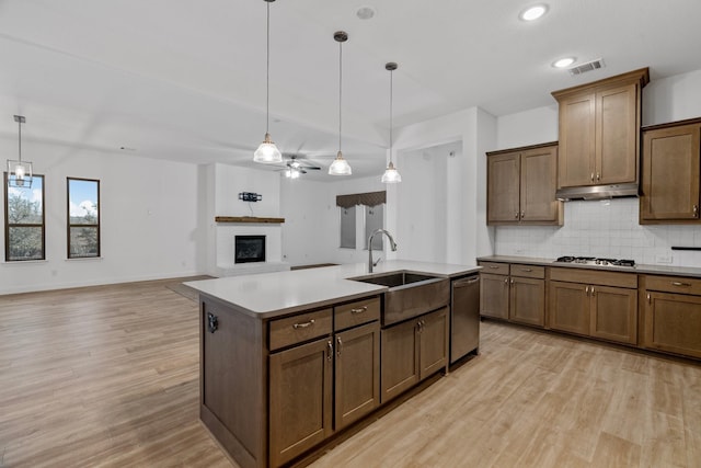 2213 Windy Hill Ln, Waxahachie, TX 75167 - kitchen featuring appliances with stainless steel finishes, a sink, light wood-style floors, under cabinet range hood, and backsplash