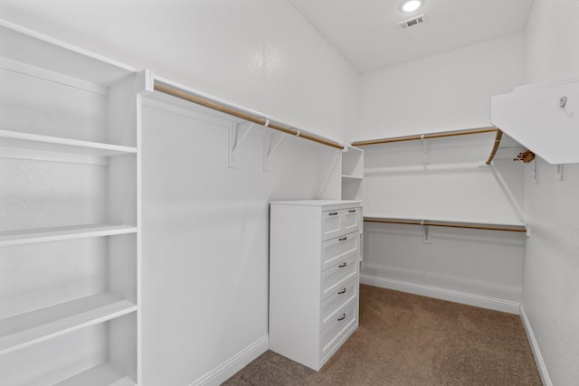 2213 Windy Hill Ln, Waxahachie, TX 75167 - walk in closet with dark colored carpet