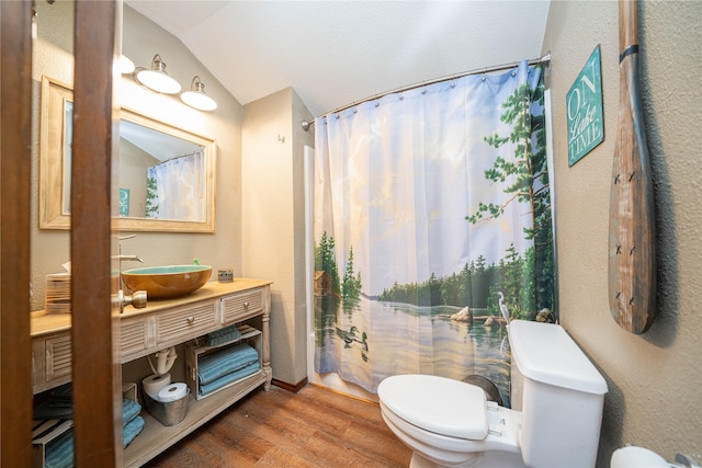 203 King Laurence, Scroggins, TX 75480 - bathroom featuring toilet, wood finished floors, lofted ceiling, vanity, and a shower with shower curtain