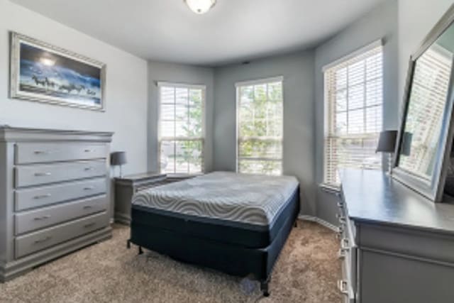 11520 Starlight Ranch Trl, Fort Worth, TX 76052 - bedroom featuring carpet flooring and baseboards