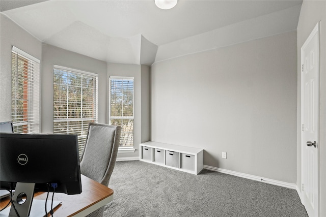 313 Wallford Ln, Lake Dallas, TX 75065 - home office featuring carpet floors and baseboards