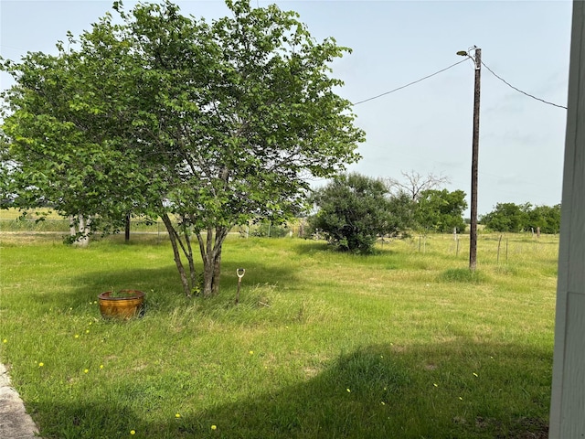 177 Lcr 613 Rd, Groesbeck, TX 76642 - view of yard